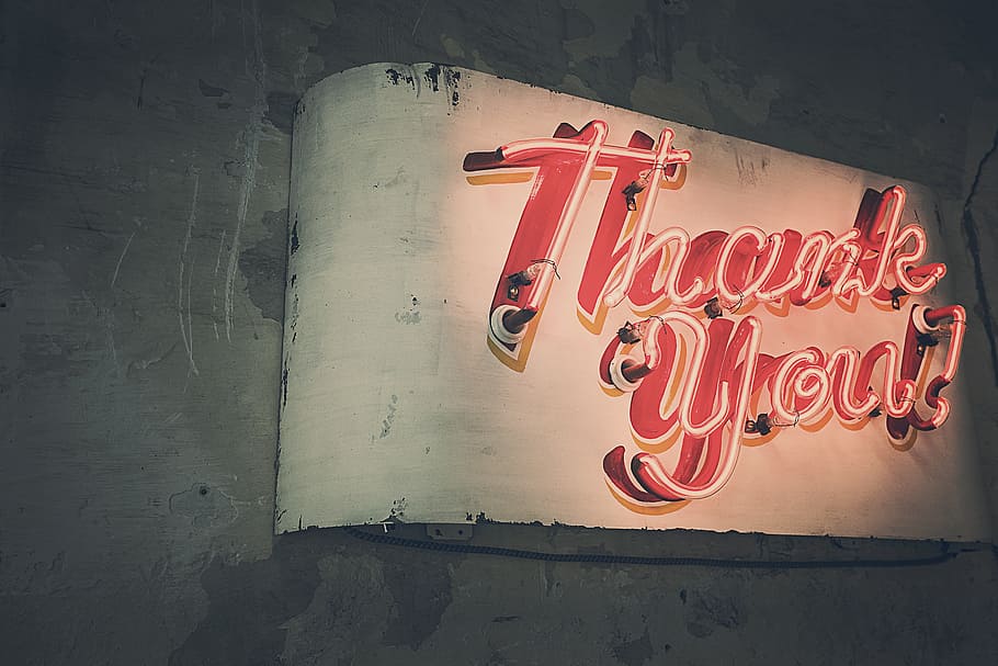 Thank You neon signage, neon lights, advertising, lighting, red, HD wallpaper
