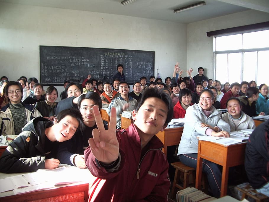 photo of group of people inside room, classroom, students, school, HD wallpaper