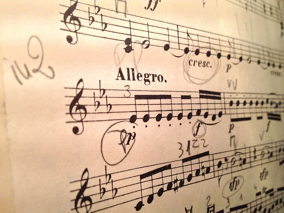 violin, music, score, mozart, performance, orchestra, magic flute, HD wallpaper